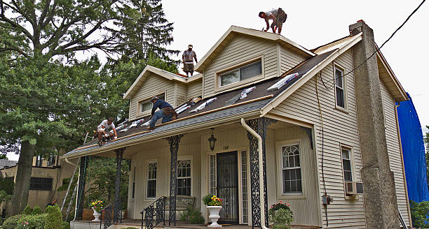 Roof Gutter Cleaning in Great Notch, NJ